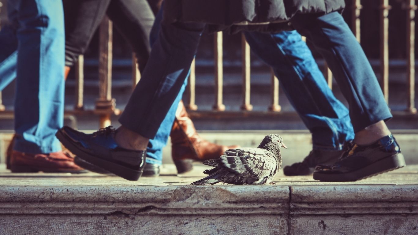 Is Jaywalking Legal in California