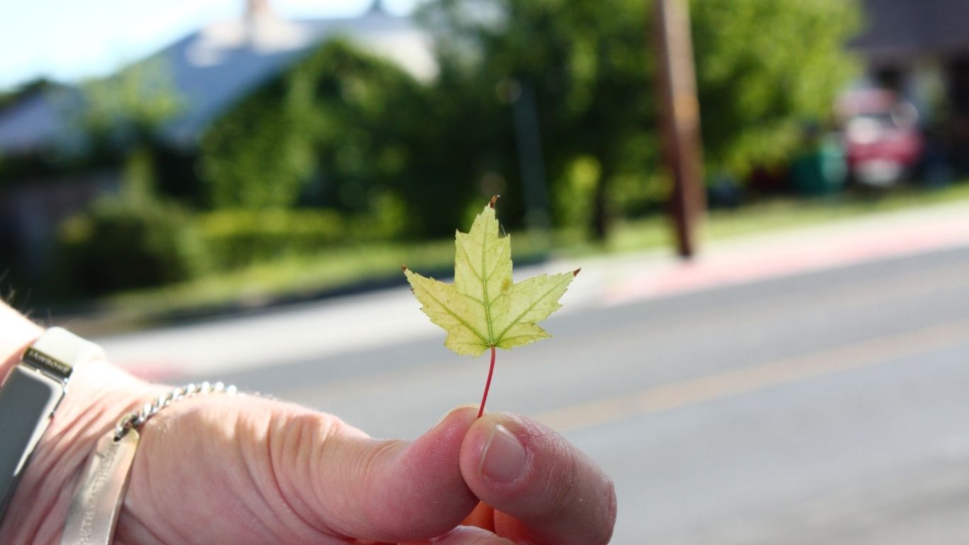 Is Marijuana Legal in Nebraska