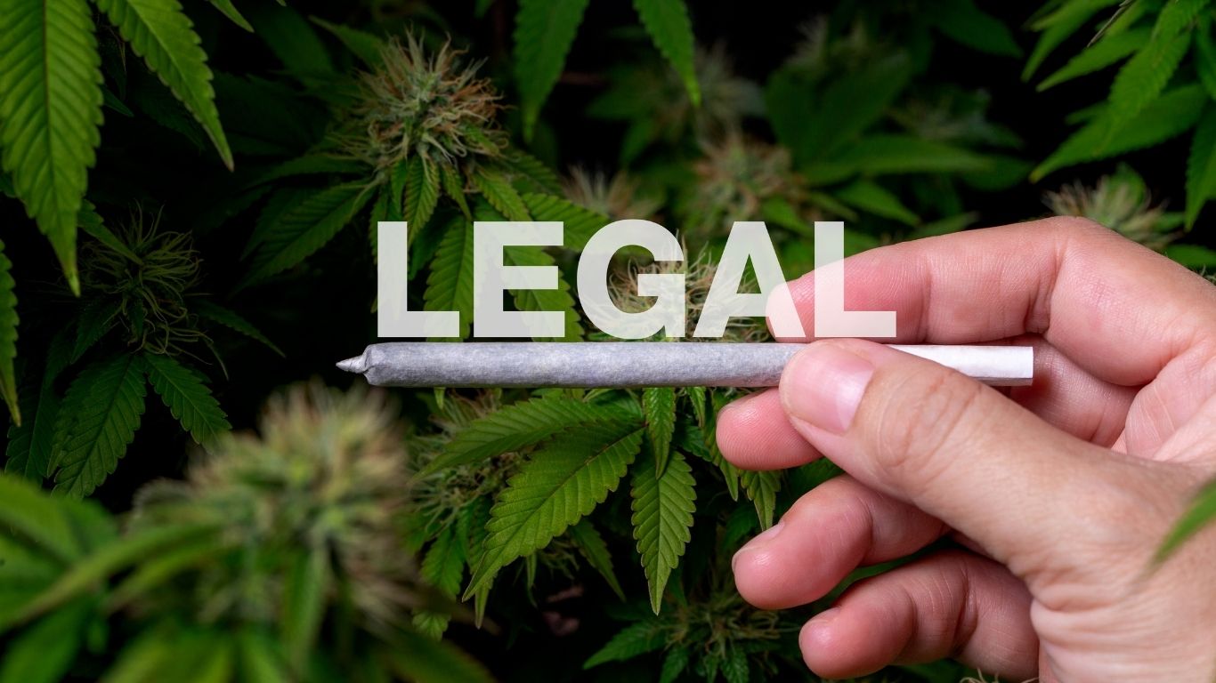 Is Weed Legal in Miami