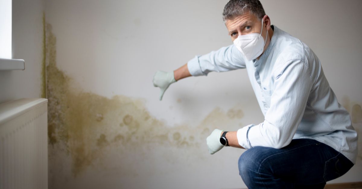 can i sue my apartment complex for mold